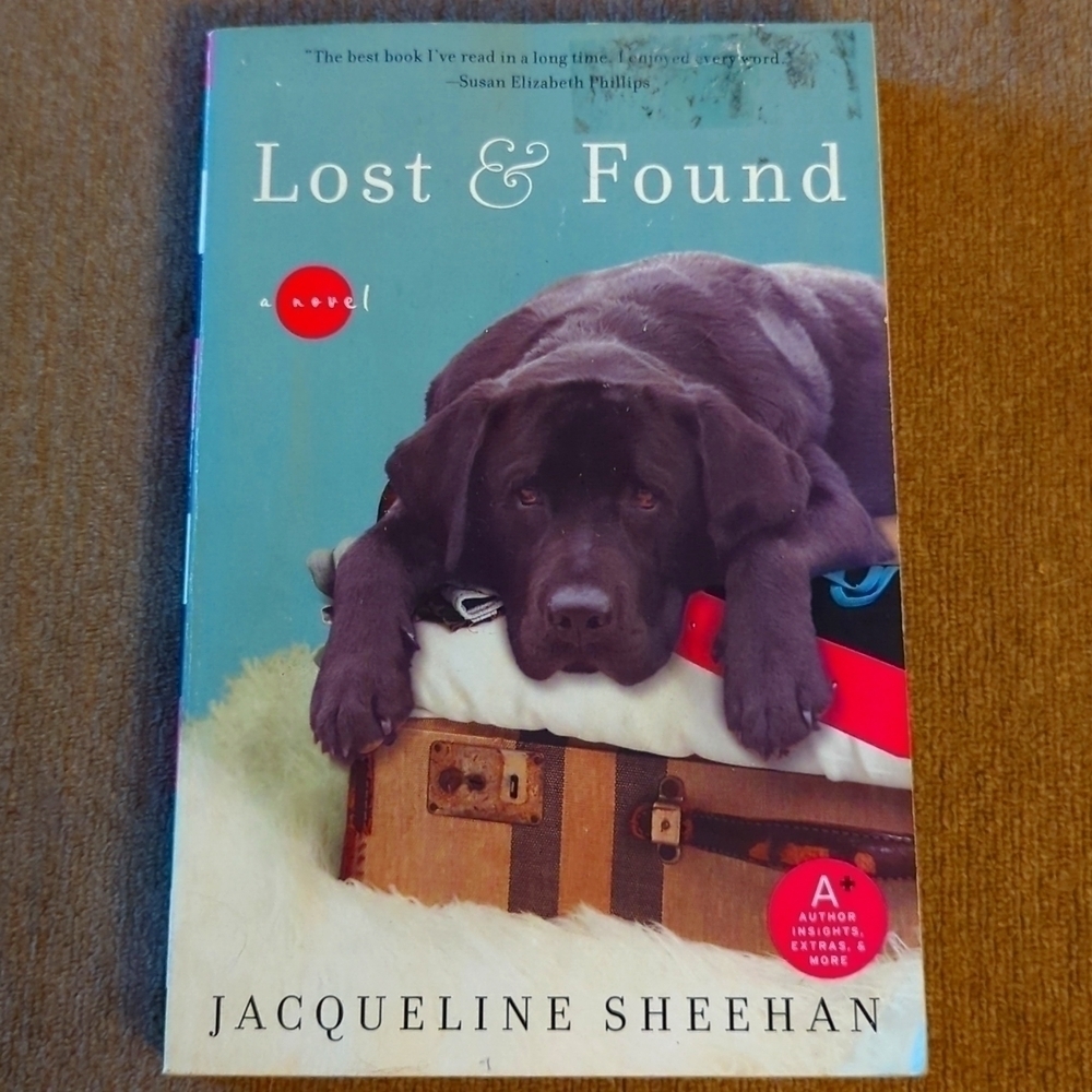 4/$10 a lost and found a novel by Jacqueline Sheehan